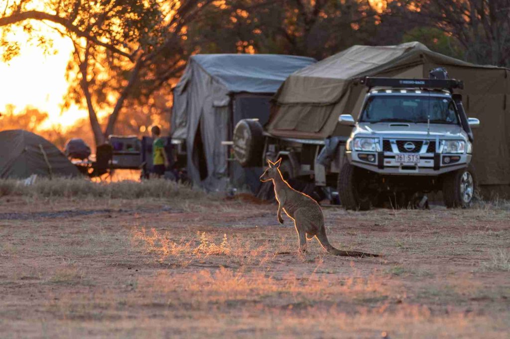 best camping locations nsw